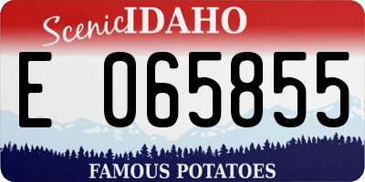 ID license plate E065855