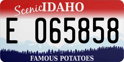 ID license plate E065858