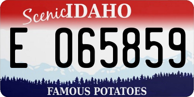 ID license plate E065859