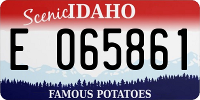ID license plate E065861