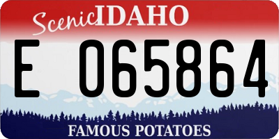 ID license plate E065864