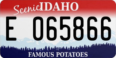 ID license plate E065866