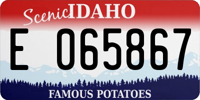 ID license plate E065867