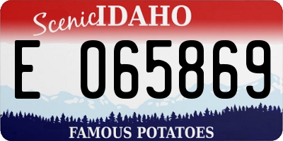 ID license plate E065869