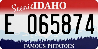 ID license plate E065874