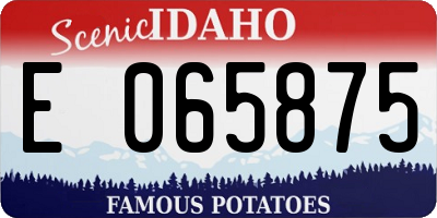 ID license plate E065875
