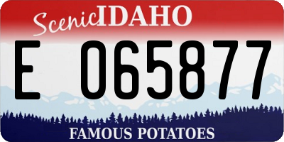 ID license plate E065877