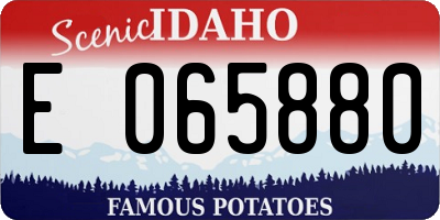 ID license plate E065880