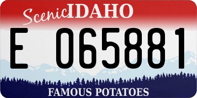 ID license plate E065881