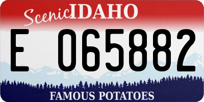 ID license plate E065882