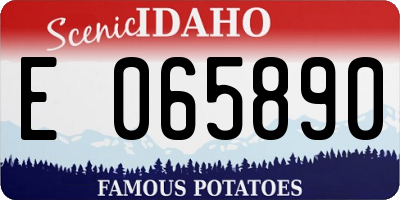 ID license plate E065890