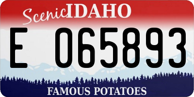 ID license plate E065893