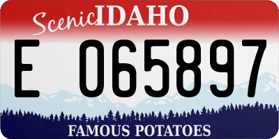 ID license plate E065897