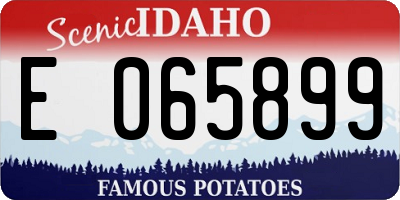 ID license plate E065899
