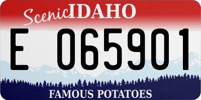 ID license plate E065901