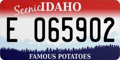 ID license plate E065902