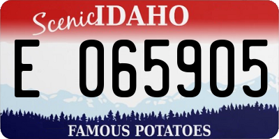 ID license plate E065905