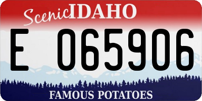 ID license plate E065906
