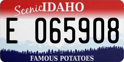 ID license plate E065908