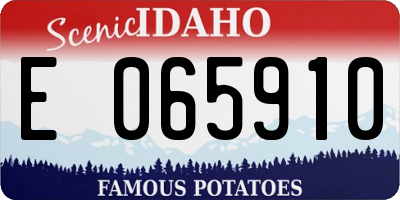 ID license plate E065910