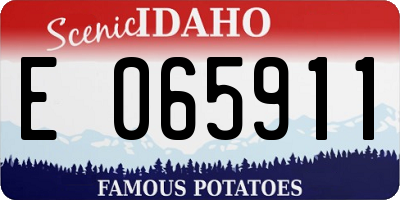 ID license plate E065911