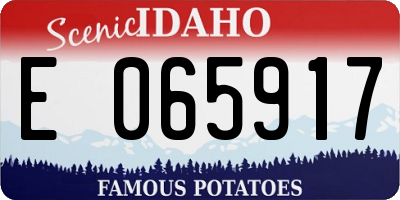 ID license plate E065917