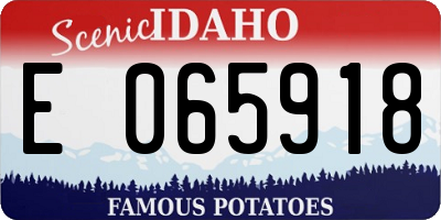 ID license plate E065918