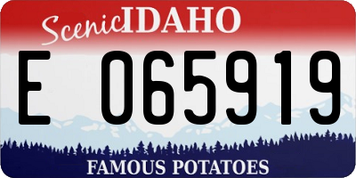 ID license plate E065919