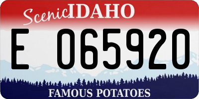 ID license plate E065920