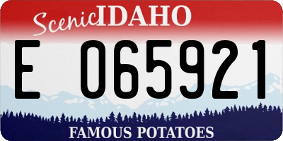 ID license plate E065921
