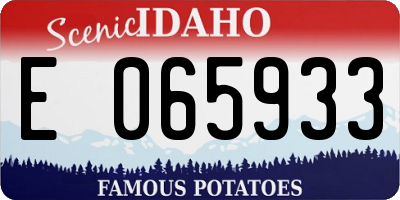ID license plate E065933