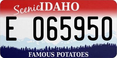ID license plate E065950