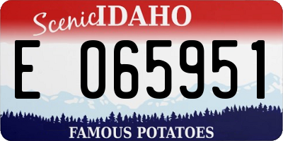 ID license plate E065951