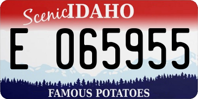 ID license plate E065955