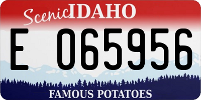ID license plate E065956