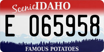 ID license plate E065958