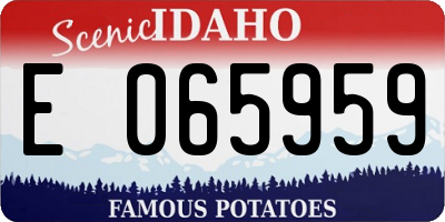 ID license plate E065959