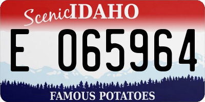 ID license plate E065964