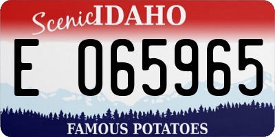 ID license plate E065965