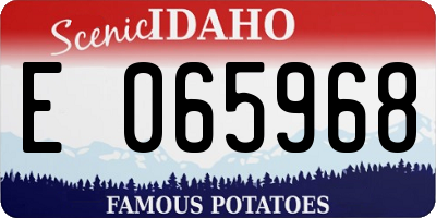 ID license plate E065968