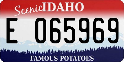 ID license plate E065969