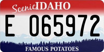 ID license plate E065972