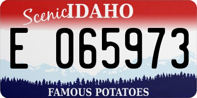 ID license plate E065973