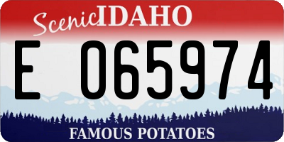 ID license plate E065974