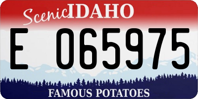 ID license plate E065975