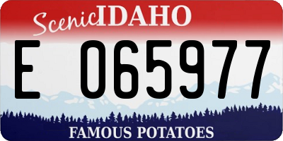 ID license plate E065977