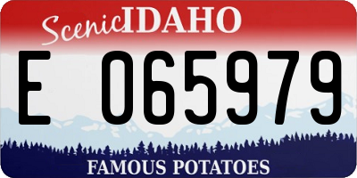ID license plate E065979