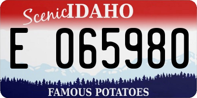 ID license plate E065980