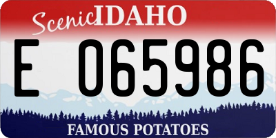 ID license plate E065986