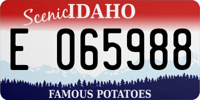 ID license plate E065988